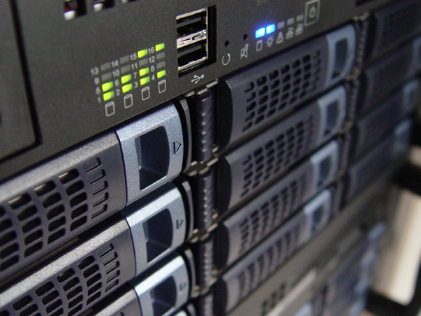 Domains and Hosting